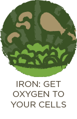  Iron: Get Oxygen To Your Cells